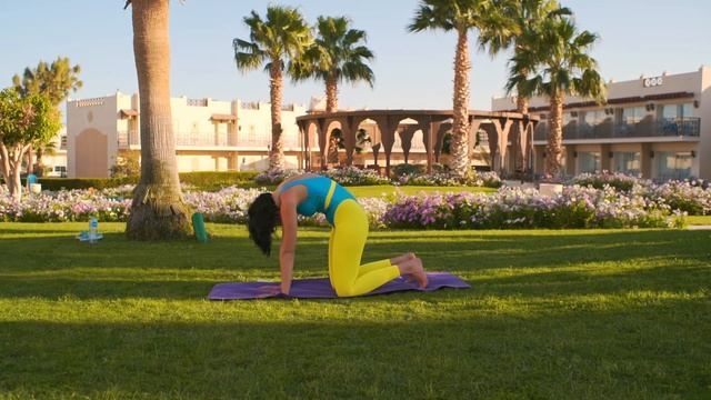 Диастаз, упражнение кошка. смотреть онлайн