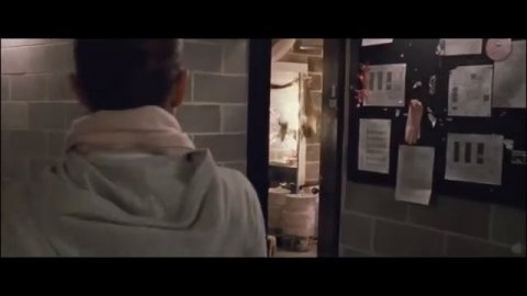 Черный лебедь 2010