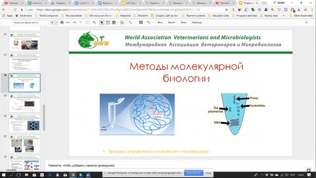 Вирусные болезни птиц. смотреть онлайн