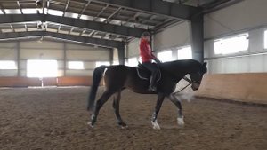 СКОЛЬЗЯЩИЙ ПОВОД ДЛЯ УПРАВЛЕНИЯ ЛОШАДЬЮ