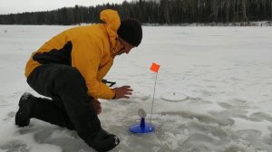 Рыбалка выходного дня на озере Редикор 16.11.2019