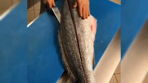 Рыбалка на тунца/ Кабо-Верде рыбалка / готовка рыбы