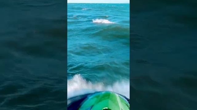 Head first into Rough Ocean Chop on the Kawasaki Ultra 310 Jet Ski смотреть онлайн