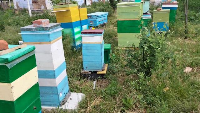 робота пасіки на акації смотреть онлайн