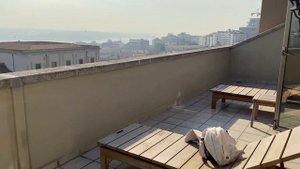 Grand Hyatt Istanbul 5*/Стамбул/Отель Гранд Хаятт