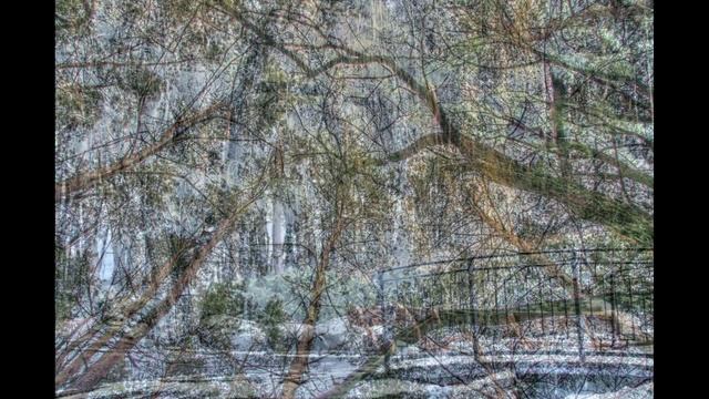 Зима. Лес. Красота зимнего парка.