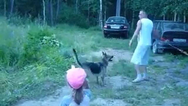 Собака прыгает в пруд. смотреть онлайн