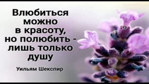 А ГДЕ ДУША, В КАКОМ КРАЮ