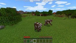 КАК ПРЕВРАТИТЬСЯ В ЛЮБОГО МОБА В MINECRAFT PE 1.13.0.9?