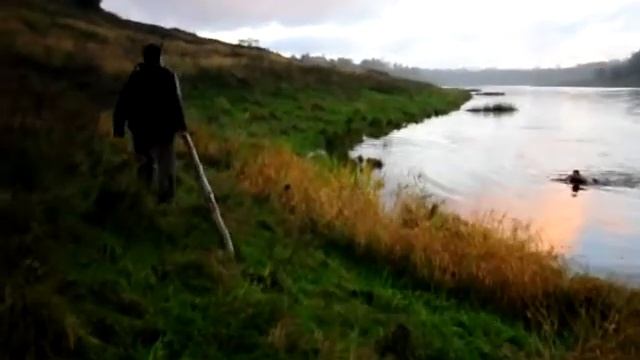 тонет не потонет смотреть онлайн