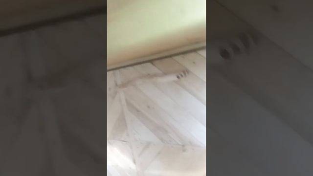 Баня на колесах Иркутск смотреть онлайн