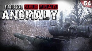 ВЗЯЛ В РЕЙД ДВЛ "ДИВЕРСАНТ" ► S.T.A.L.K.E.R. Anomaly 1.5.1 сборка F.E.A.R.  (серия 54)