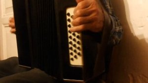 Игра гармониста Леонида Ивановича Лавишева (д. Новая Старина)