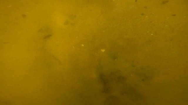Подводный поиск на рыбацком пляже. Minelab Excalibur 2. Море Находок! | Поиск с металлоискателем