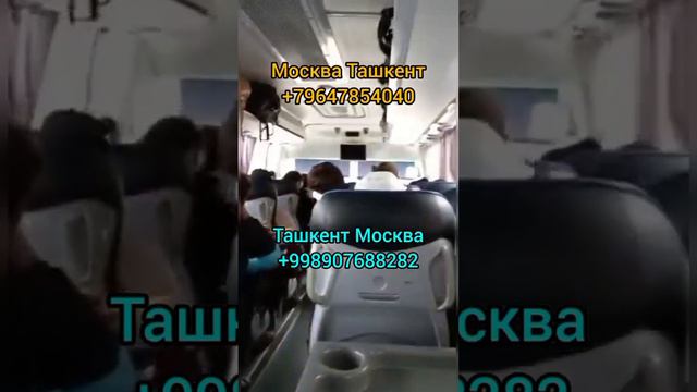 Владимир Ташкент Таджикистан автобус Москва Тошкент автобус Ташкент Москва Питер автобус