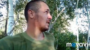 Ловля бродячих роев 2018 - Как получить прибыль с роев уже в этом году...