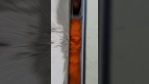 Wins Flex. Эластичная монтажная пена Tytan. Новинка в Беларуси. Система установки окон.