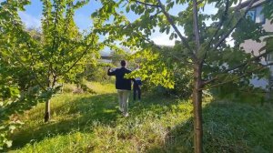 НЕДОРОГИЕ ДОМА и земельные участки в селе КАБАРДИНКА || Инфраструктура, ПЛЯЖ, ЦЕНЫ на недвижимость