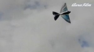 15 самых необычных игрушек для взрослых, которые могут и вам пригодиться