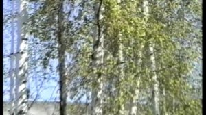 Из архива ООО Сунтарцеолит