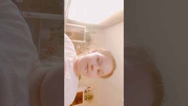 кота больше не будет кота ну и не было хы/¤MashiKS¤ смотреть онлайн