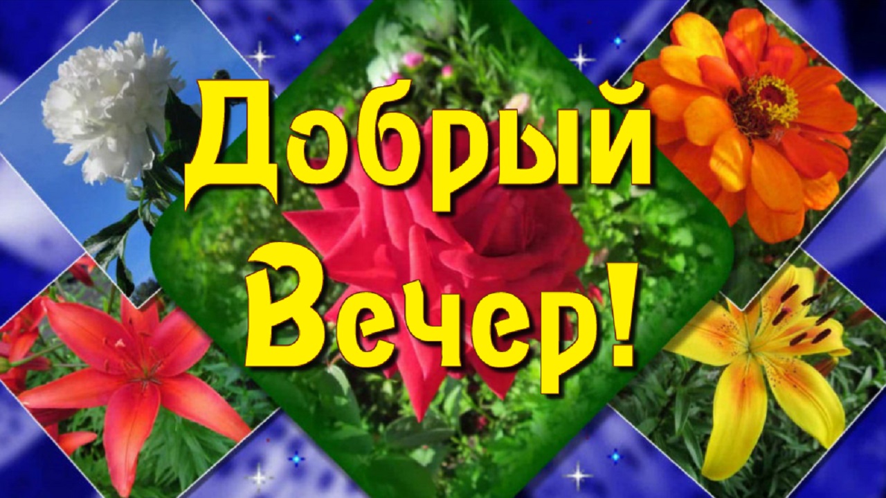 Добрый Вечер! Красивое пожелание доброго Вечера!