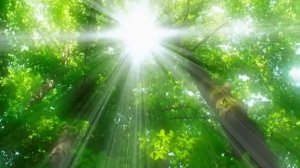 День 1 медитация.?Методика Дирак Чопра 21 день*Сегодня я созерцаю все то изобилие, которое окружает