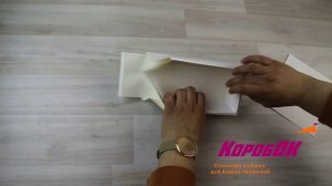 Сборка коробки Эрида 2