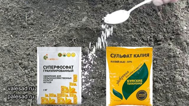 ПОСАДКА ТОМАТОВ. ПОЛОЖИТЕ ЭТО в ЛУНКУ при ПОСАДКЕ ТОМАТОВ в грунт!
