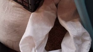 Кормление кроликов без комбикорма.Ростут как на дрожжах.