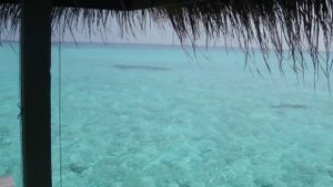 Бунгало в отеле на воде на Мальдивах