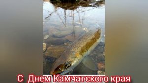С Днем Камчатского края.