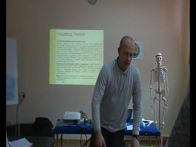 Семинар ВИСЦЕРАЛЬНАЯ ОСТЕОПАТИЯ 1 ВО1_07 смотреть онлайн