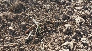 Отличный коп! | Покапали от души!