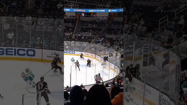 pov a sharks game part 2