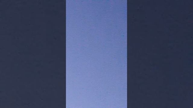 Медведь на кусту 249 г Радужный смотреть онлайн