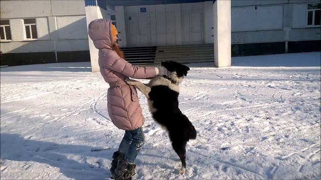фристайл с собакой )) первый снег )) паркур )) скейтбординг ) смотреть онлайн