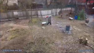 Очистка участка от зарослей, московская область