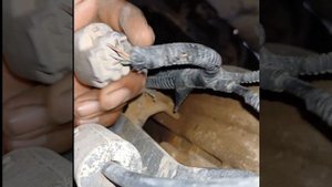 How to Fix Code P2770 P0700 transmission Hyundai