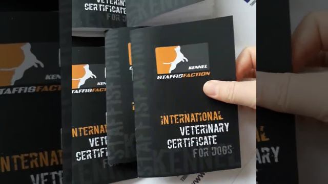 Стафф (ветпаспорта софт тач с логотипом питомника)