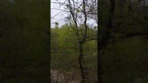 п.Гуамка отель "Добрыня" отличное место для отдыха всей семьёй, красивая территория