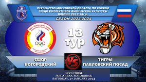 ПМО среди  КФК. 2013-2014. СШОР - ТИГРЫ