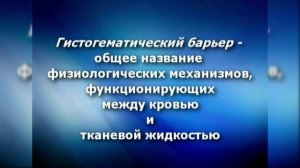 7. Гистогематические барьеры