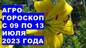 Агрогороскоп с 09 по 13 июля 2023 года. Агрогороскоп з 09 по 13 липня 2023 року