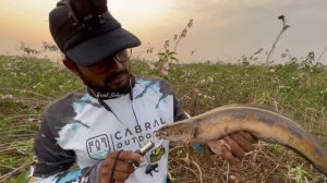 Amazing snakehead fishing || attac मरल हमला कैसे करती है बिल्कुल नजदीक से देखें k zoom video..