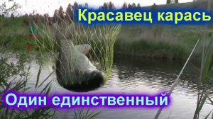 Поймал одного карася