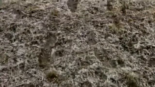 Любимый город Душанбе смотреть онлайн