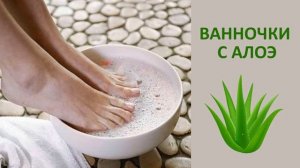 Лечение грибка соком алоэ