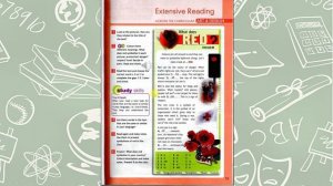 Spotlight 6. Модуль 3. Extensive Reading