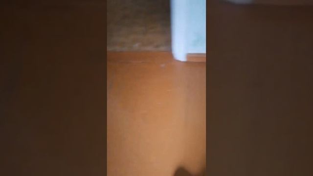 Новая квартира до. #квартира #ремонтсвоимируками #ремонтквартиры